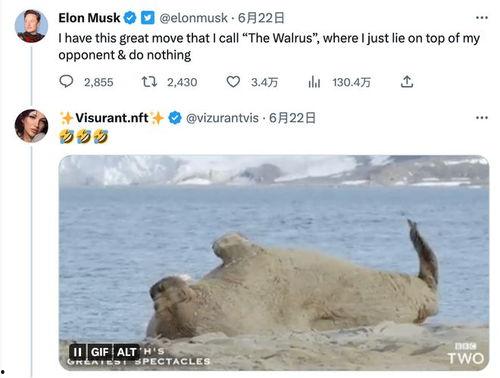 妈妈吃瓜推文免费阅读,免费阅读盛宴开启!  第3张 妈妈吃瓜推文免费阅读,免费阅读盛宴开启!  第3张