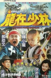 电影功夫小龙在线观看,热血青春,武术传奇  第2张 电影功夫小龙在线观看,热血青春,武术传奇  第2张