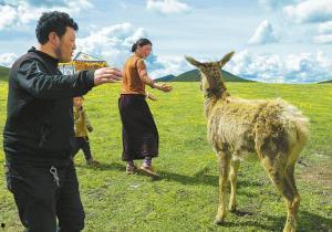 谁爆料鹿家门口的人呢视频,视频爆料背后的真相  第2张 谁爆料鹿家门口的人呢视频,视频爆料背后的真相  第2张