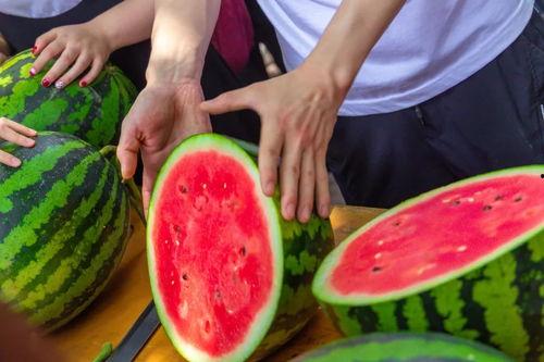 天津学校最新吃瓜爆料,揭秘校园风云事件内幕  第3张 天津学校最新吃瓜爆料,揭秘校园风云事件内幕  第3张