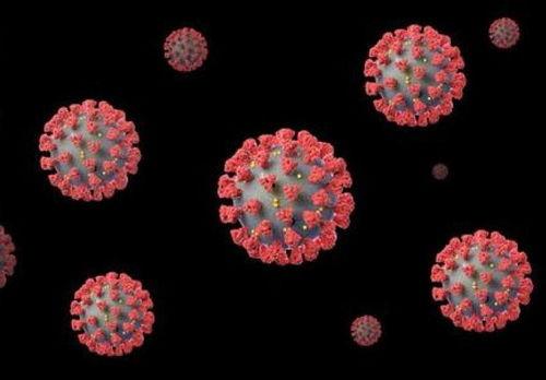 新冠冠状病毒最新爆料,病毒变异与全球防控策略再升级  第3张 新冠冠状病毒最新爆料,病毒变异与全球防控策略再升级  第3张