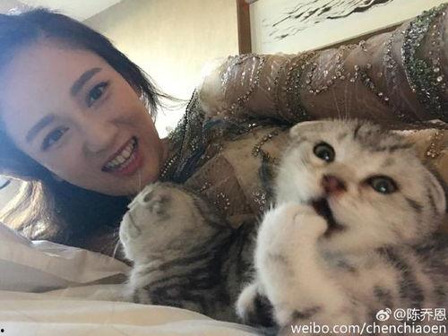 娱乐圈爆料猫不理,猫不理背后的惊人真相!  第2张 娱乐圈爆料猫不理,猫不理背后的惊人真相!  第2张