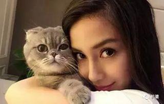 娱乐圈爆料猫不理,猫不理背后的惊人真相!  第3张 娱乐圈爆料猫不理,猫不理背后的惊人真相!  第3张