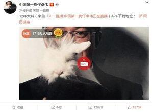 天真爆料视频大全在线观看,视频大全在线观看精彩瞬间  第2张 天真爆料视频大全在线观看,视频大全在线观看精彩瞬间  第2张