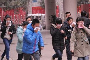 新建路中学入学最新爆料,揭秘招生政策与入学流程  第2张 新建路中学入学最新爆料,揭秘招生政策与入学流程  第2张