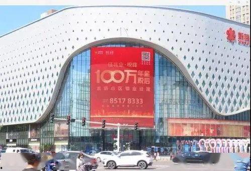 石家庄最新爆料头条,揭秘城市热点事件背后的真相  第2张 石家庄最新爆料头条,揭秘城市热点事件背后的真相  第2张