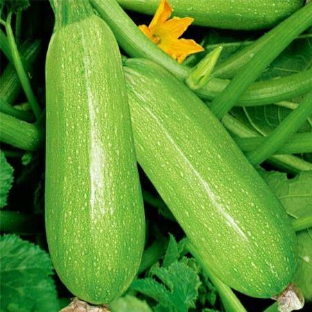 2023年6月网红吃瓜,盘点热门事件与幕后真相  第2张 2023年6月网红吃瓜,盘点热门事件与幕后真相  第2张