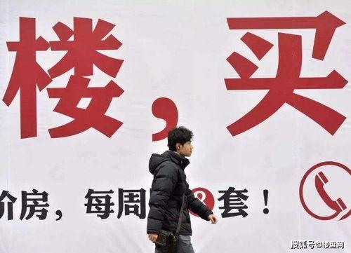 郑州楼市最新爆料,房价波动与政策调控双管齐下  第3张 郑州楼市最新爆料,房价波动与政策调控双管齐下  第3张