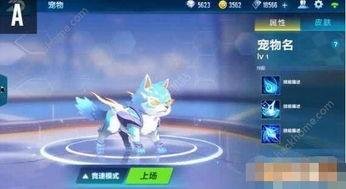 飞车宠物最新爆料,神秘宠物即将亮相,激战一触即发!  第2张 飞车宠物最新爆料,神秘宠物即将亮相,激战一触即发!  第2张