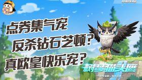 飞车宠物最新爆料,神秘宠物即将亮相,激战一触即发!  第3张 飞车宠物最新爆料,神秘宠物即将亮相,激战一触即发!  第3张